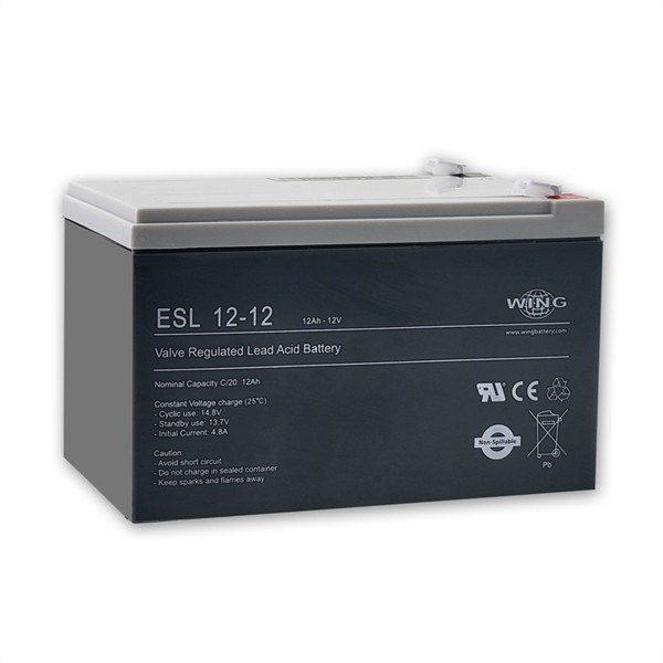 Batterie BTX ESL 12-12